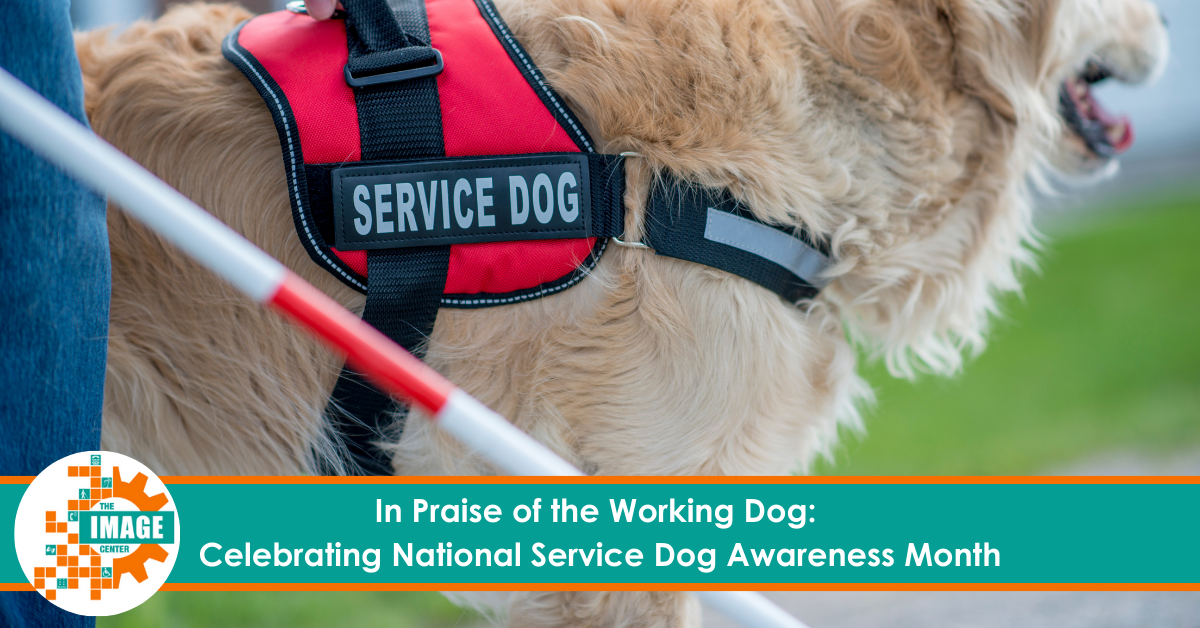 Service dog, text says, "In Praise of the Working Dog: Celebrating National Service Dog Awareness Month"